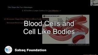 Blood Cells and Cell Like Bodies