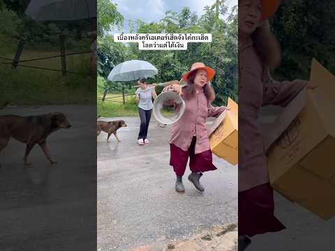 เมื่อยหลายพี่น้องกว่าสิได้เงินเขา😂 #คุณยายสายฮา #funny #แม่ลูกสายฮา #comedy #ตลก #ฮาๆ
