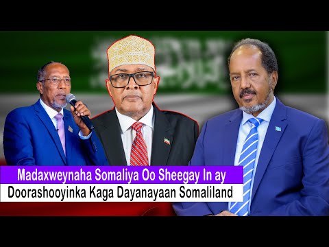 Madxweynaha Soomaliya Oo Sheegay In Dhanka Doorashada Kaga Deyanayaan  Dalka Somaliland