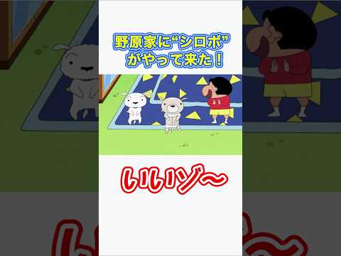 【クレしん】ロボより有能なシロ！#shorts