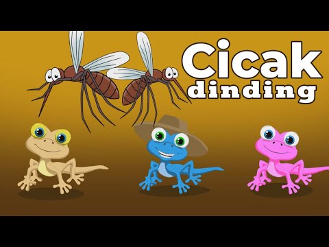 Potong bebek angsa cicak di dinding dan lagu anak cilukba