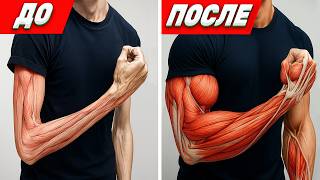ТРЕНИРОВКА РУК: 10 ПРАВИЛ, КОТОРЫЕ ТЫ ДОЛЖЕН ЗНАТЬ