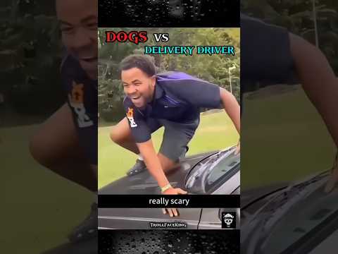 DOGS vs DELIVERY DRIVER and The last part DOG is FRIENDLY 🤫😬 #troll  #trollface #trolledit #shorts