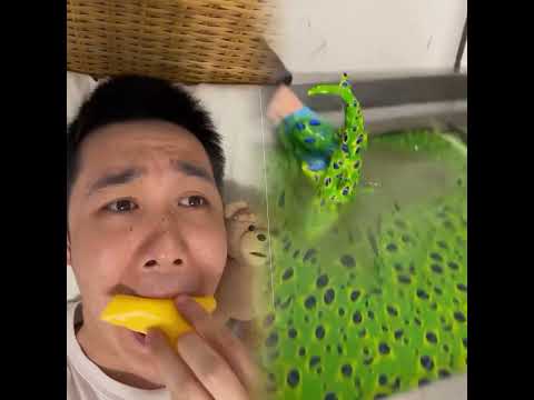 How to stop your a baby from crying 😭🧀