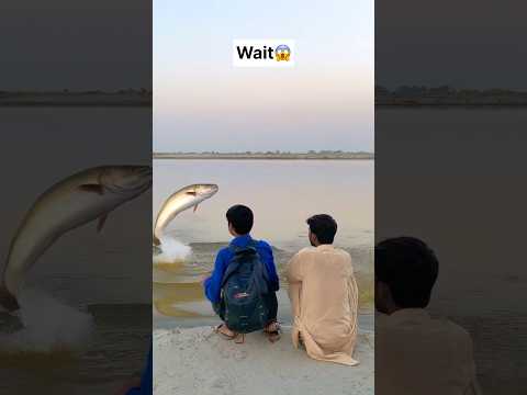 Ye kiya hora hai🤣 #funny #viral #foryou #foryoupage #funnyvideos