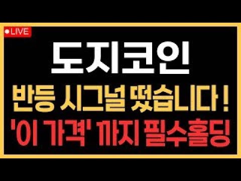 🚨도지코인🚨 5반등 시그널 떴습니다! '이 가격' 까지 필수홀딩!