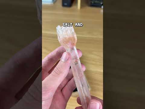 what if i had a fork made of salt?