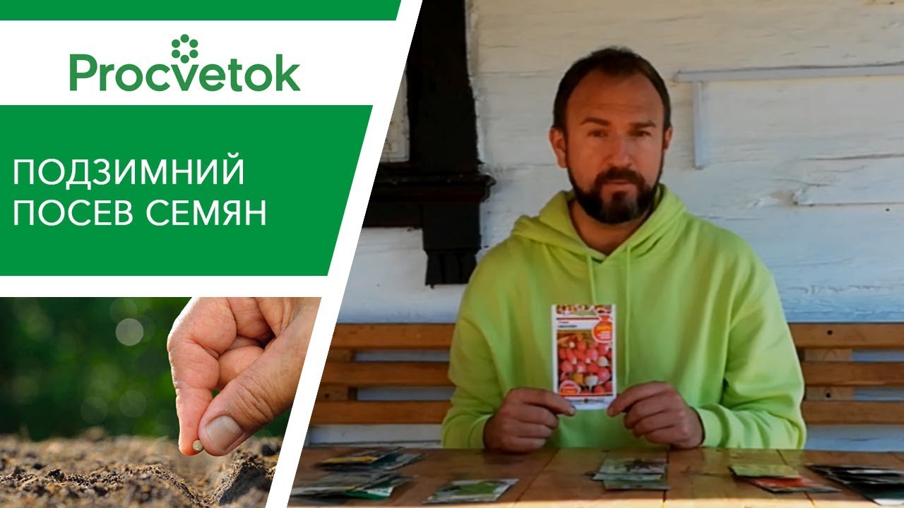 Подзимний посев: что посеять и когда? Урожай обеспечен!