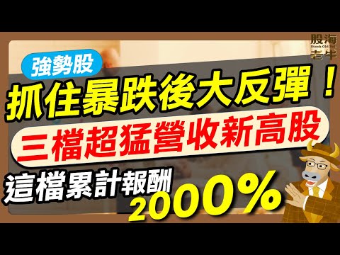 【股海老牛】抓住暴跌後大反彈！三檔超猛營收新高股，這檔累計報酬2000%｜《老牛夜夜Talk》EP231