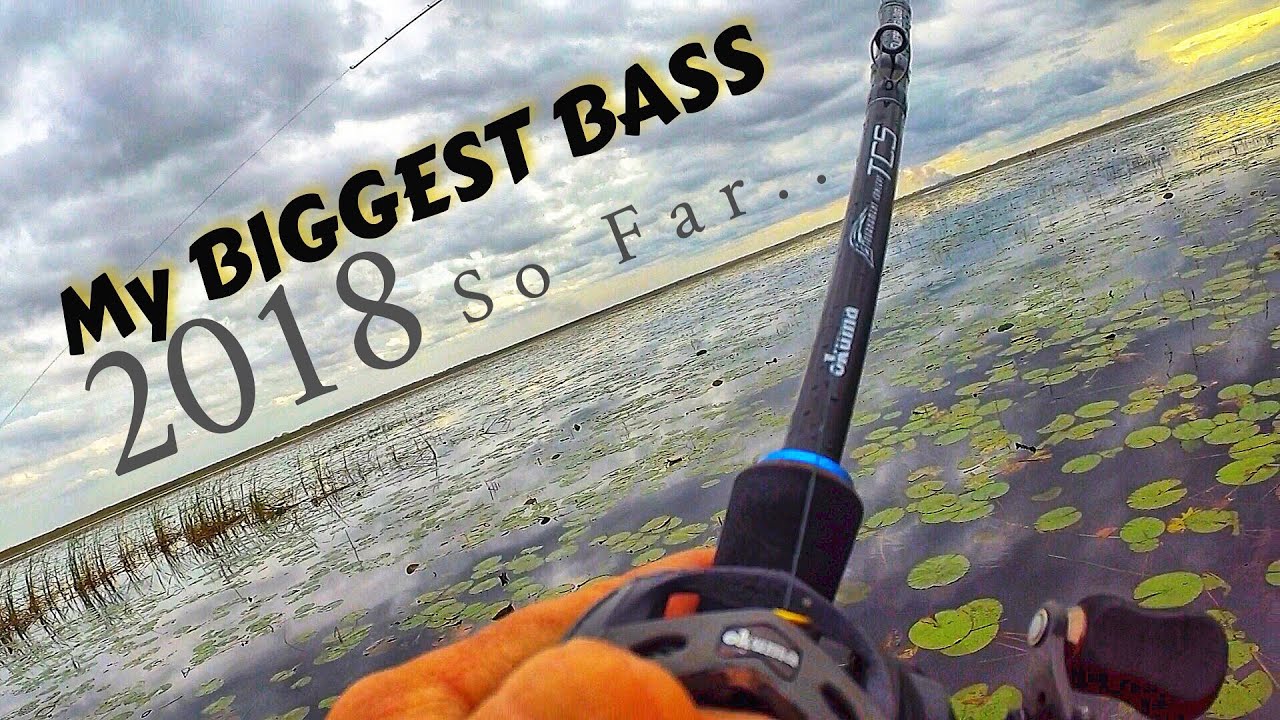My Biggest Bass of the Year. So Far!