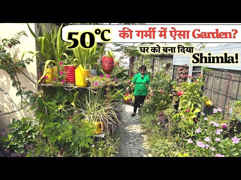 45 डिग्री में कौन सा Plant लगा दिया? घर को बना दिया पूरा शिमला!