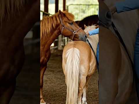 Be who you are 💗🥰 1815