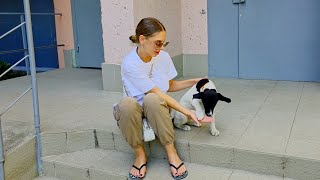 Abandoned Puppy Who Asked Every Stranger to Save Him Realized He's Being Rescued