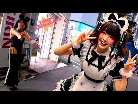 Tokyo Akihabara🐶Cosplay Night♪💖4K Non-stop 1 hour