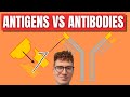 Antigens and Antibodies Concepts
