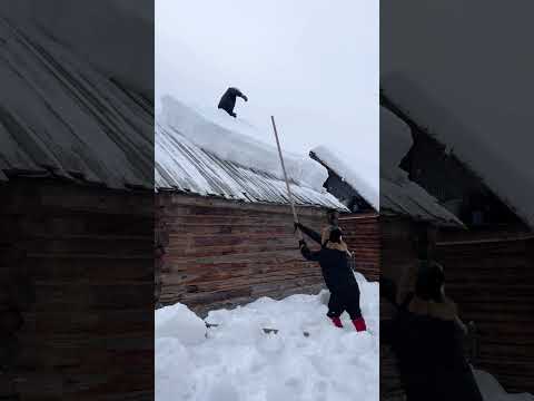 Let's talk about the ultimate snow adventure in #Hemu Village of Kanas in Altay, #Xinjiang!