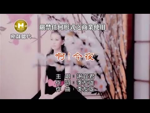 謝宜君-啊！今夜【KTV導唱字幕】