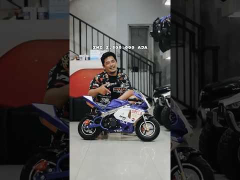 Mini GP Polini 50CC 2tak Sudah Ready kembali Sobat hoby ‼️🔥‼️🔥 #minigp #motormini #motogp #racing