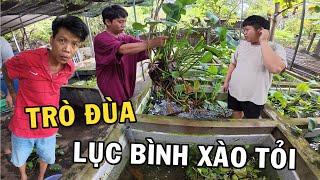 Trò đùa vớt Lục Bình của Anh Nhí Betta Xào Tỏi đãi ku Tiến Béo