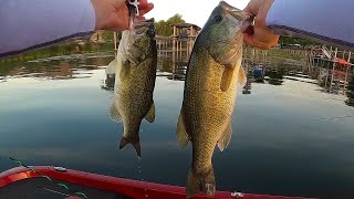 Clear Lake bass smashes a popper #shorts