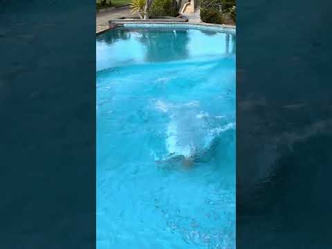 Как наверняка разбудить жену утром 😂 Пранк с бассейном, который она не забудет!