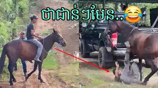 ហាមឆ្កែចូល..😂