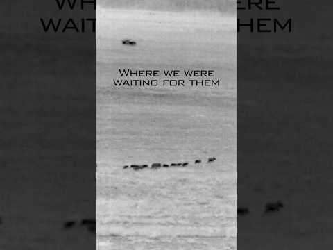 It helps to have the right tools ?#thermal #drone #feralhogs #hoghunting