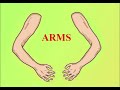 Understanding Basic Concepts