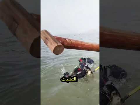 صياد وطائر