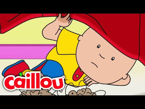 ¿Dónde está Marte? | Caillou Español Castellano - WildBrain | Caricaturas para niños