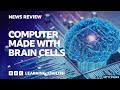 Lab-Grown Technology and Terminology