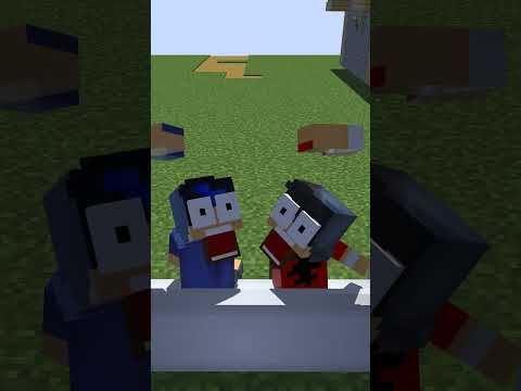 HELP Aaron and Ein choose!!! 😂😂😂 #minecraft #matthewcraft #shorts