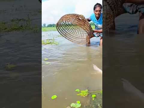 এত বড় মাছ কিভাবে দরল|#shortsvideo #shorts #short #youtubeshorts #khanofficial
