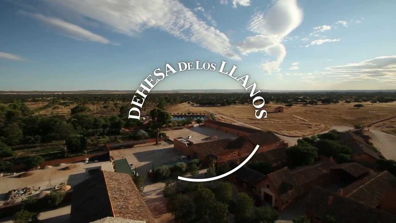 Video de empresa de Dehesa de los Llanos