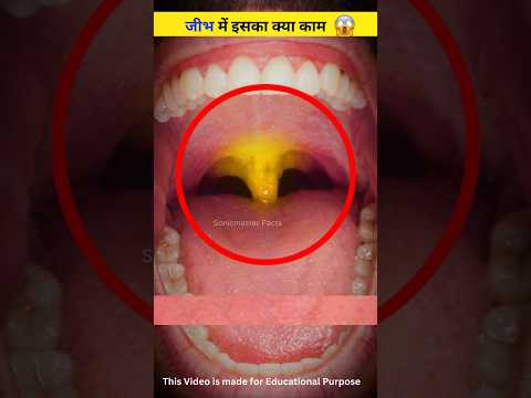 Secret of Uvula (3D Animation)