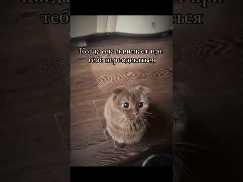 КАЖДЫЙ РАЗ КАК ПЕРВЫЙ РАЗ | tiktok: archik110