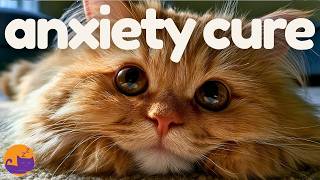 Leaving Your Cat Home Alone? 🐾 Play This Relaxing Music for Cats