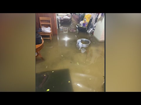 YouTube video thumbnail: Illinois Leaders Join Call for Action as Southwest Side Deals With Flooding Woes