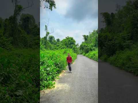 সান্ডা 🦎