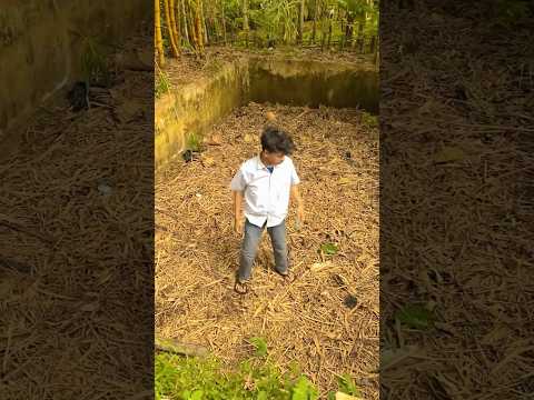rumah bego ternyata ada kolam renangnya #diy #kreatif #viral #art #craft