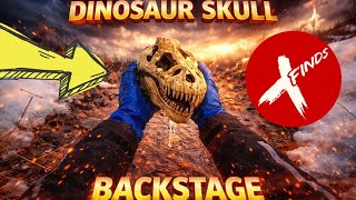 DINOSAUR SKULL 🐲 The ❌ Finds Behind the Scenes