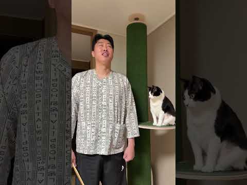 와이프한테 죽을 각오하고 던지는 킬링조크