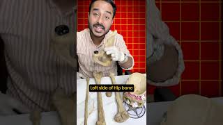 Bone Anatomy Part 15 by Vishal Johari Sir