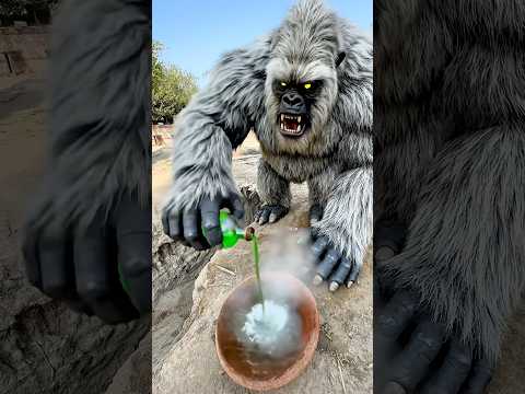 (Ai Animals) The lion did a very bad thing to the gorilla.