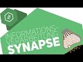synapse-informationsverarbeitung/