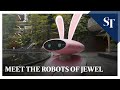 Robotics in Jewel