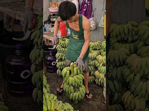 Wow! Amazing banana fruit cutting skills!