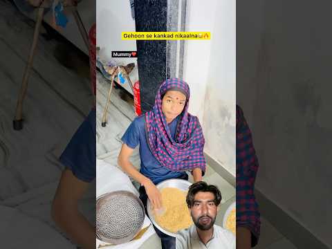 Yeh Video Dekh Ke Main Hil Gaya 😵 #shortsfeed