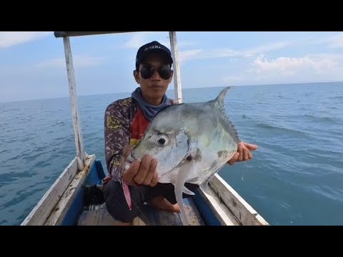 Pakai Jig Buatan Jepang ??? wah dapat ikan besar