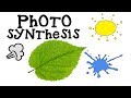 Exploring the Process of Photosynthesis for Kids